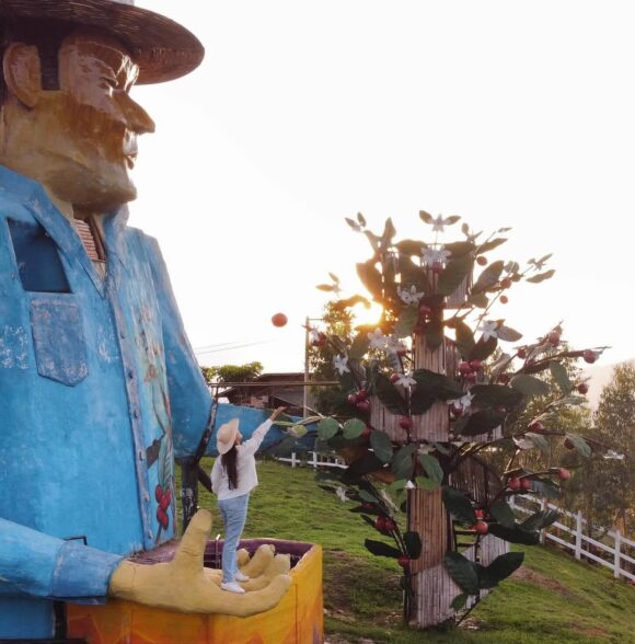 Mirador Café Don Arnulfo