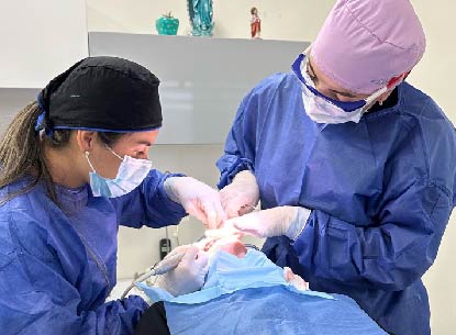 LM Odontología